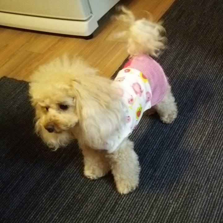 642c40da 9ded 428e a3de edea87f5d0ed 1532606994439