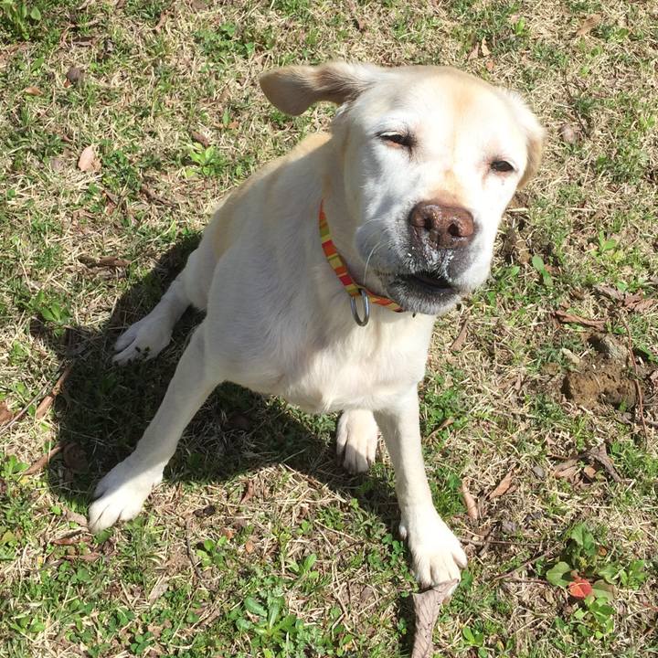 642c4359 0aec 4f52 b13c 5572594832ba 1589934525428