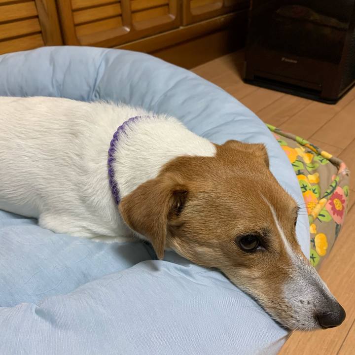 642c6505 d389 4051 b9f8 15da3ba85620 1590317701712