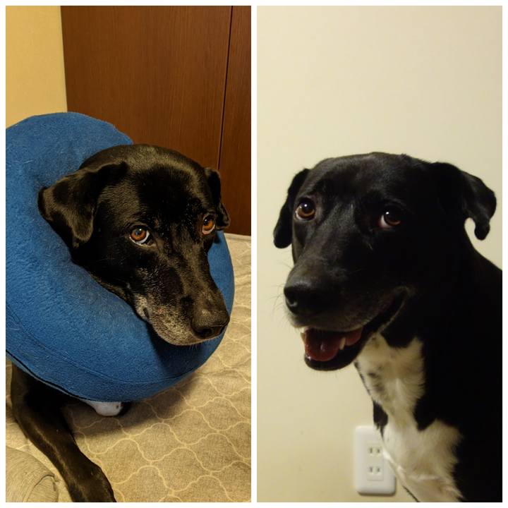 642c808a 439e 4e0e b783 1b714ee142b0 1691456873334