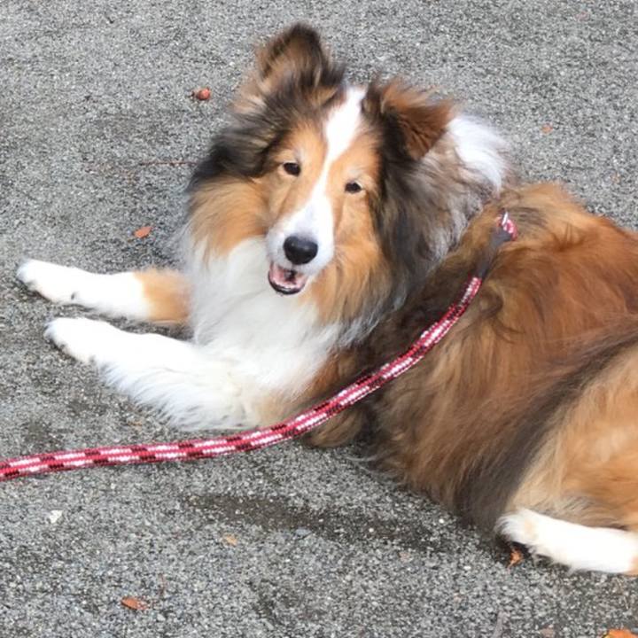 642c8c9e 2ef2 41a2 813a da331e0e9537 1748523643291