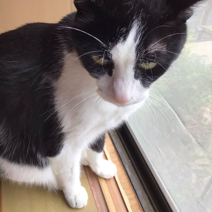 642ca41e e7da 4b58 9161 fe5325715066 1750824938165