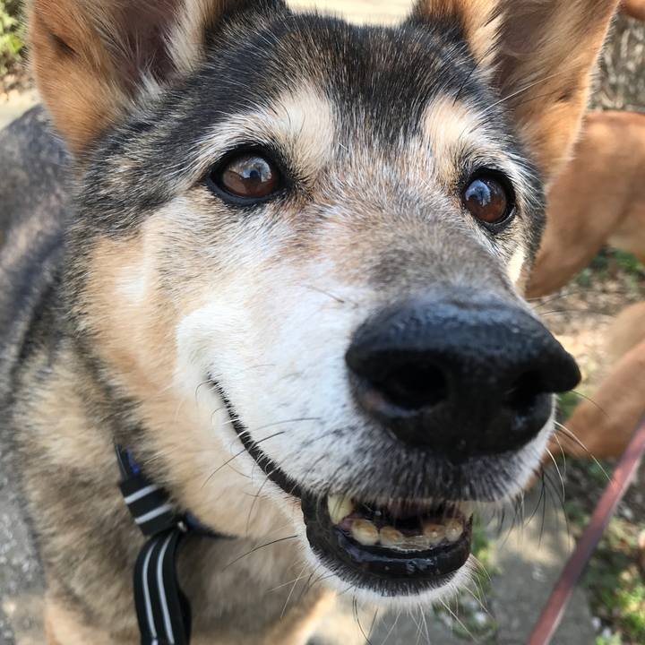 642d44f2 4a50 46da 966c 95cd99f7ff8c 1553768645384