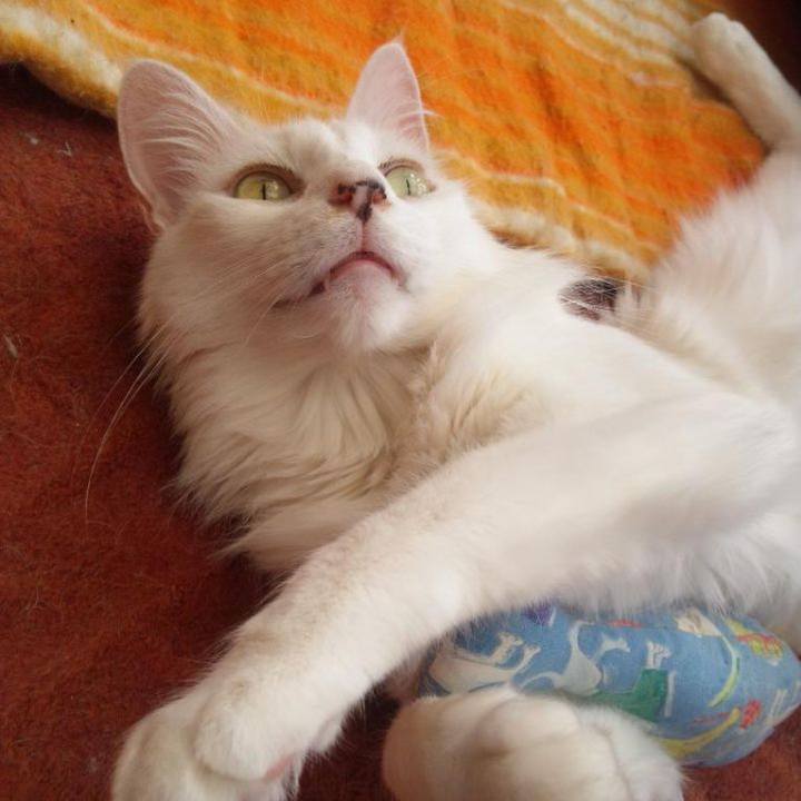 642d6a22 4a8e 4f54 b162 434848fdaf39 1682939446692