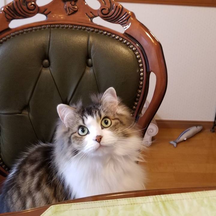 642d7e43 5d6d 42c0 974b 4047226e38a3 1581458000595