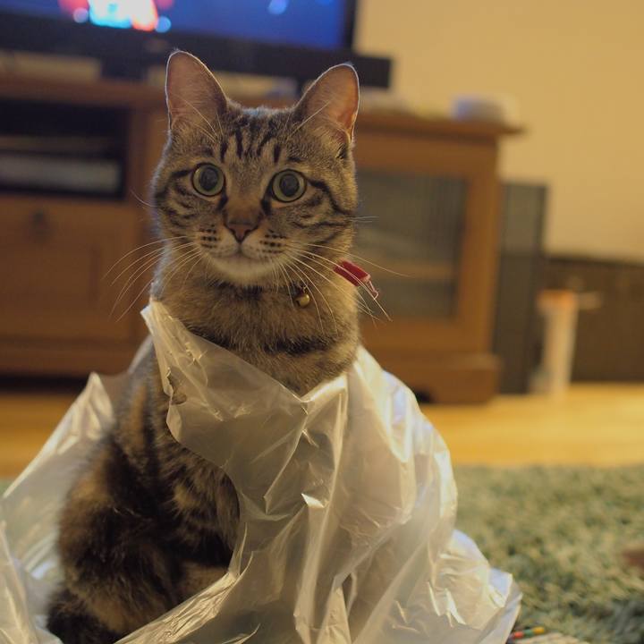 642d891d 14f7 46ac a1c8 4c1c8b1ad1c7 1594038566219