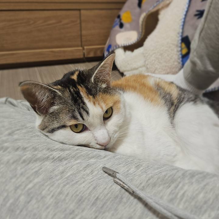 642d9b1c 3981 4b7e 90c6 fb7865fa3cd4 1772785982756