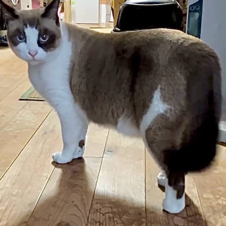 642da0e9 4f35 4a6b 8885 39f401f01fd0 1729566287039