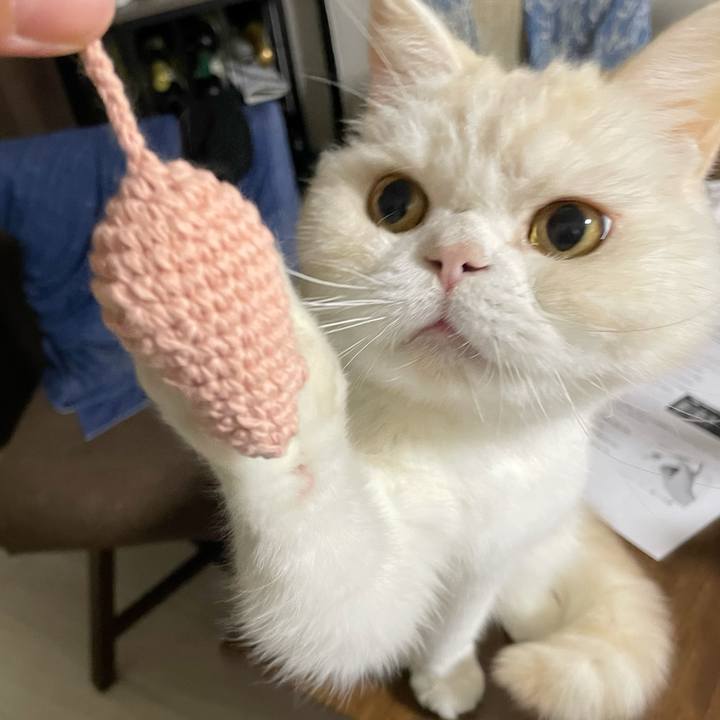 642daab6 fc1c 4cdc be65 044a50228a29 1763557832381