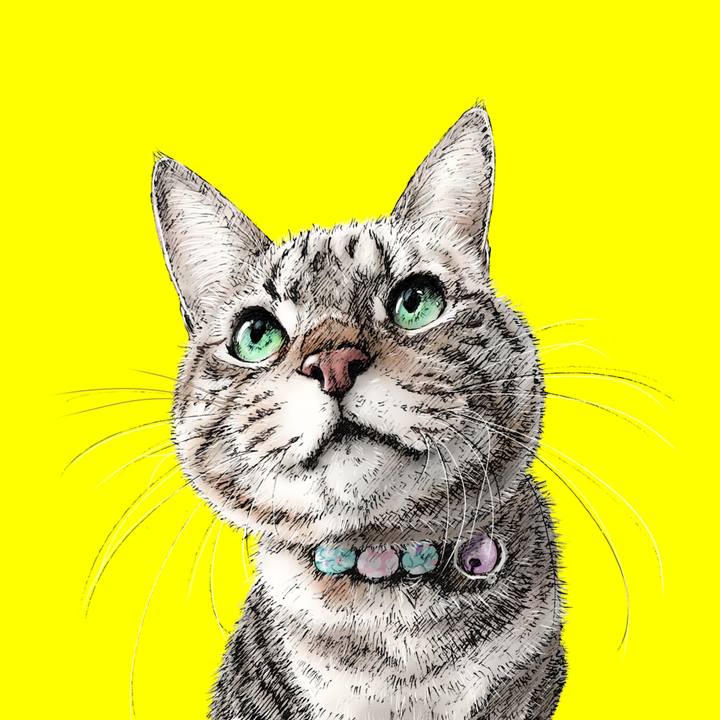 642dc1dc cf34 412c 8f57 4d355d33c251 1599141469501