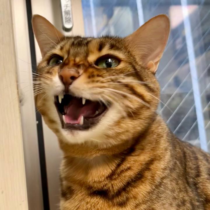 642dd050 9735 4e95 82bc c84511845c27 1662703148759