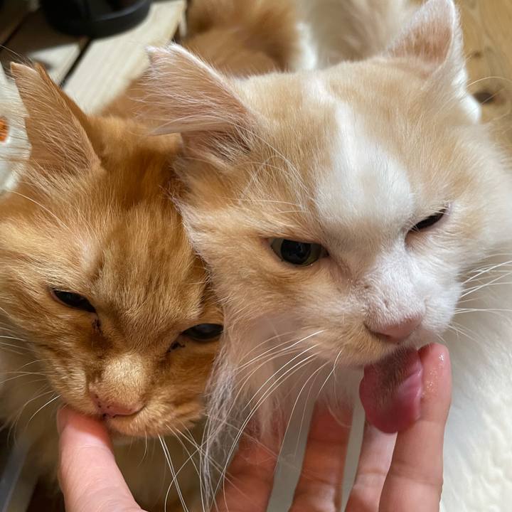 642e1321 ad5b 4a77 8b74 06e010b07fcf 1669238679850