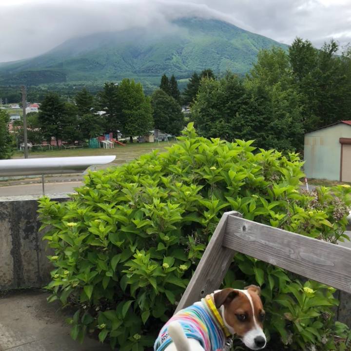 642e55a9 d99a 483e b274 01b20b1b7e4a 1529470983227