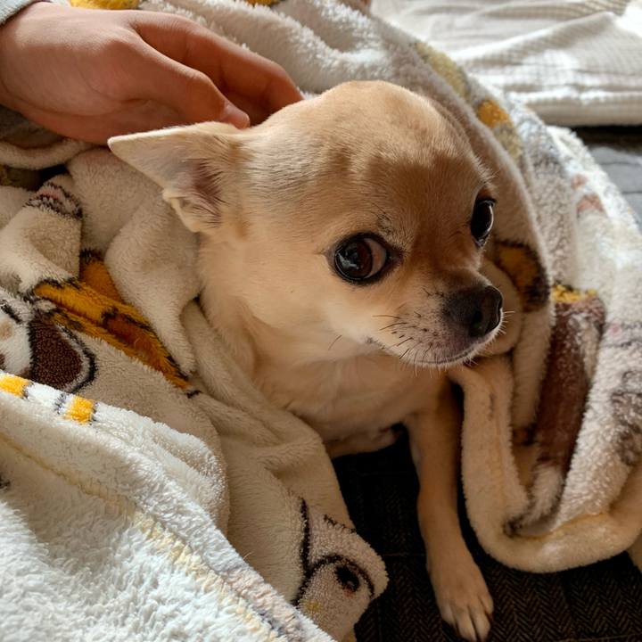 642e58ec c78a 4ddb a41b 078955026304 1606628712790