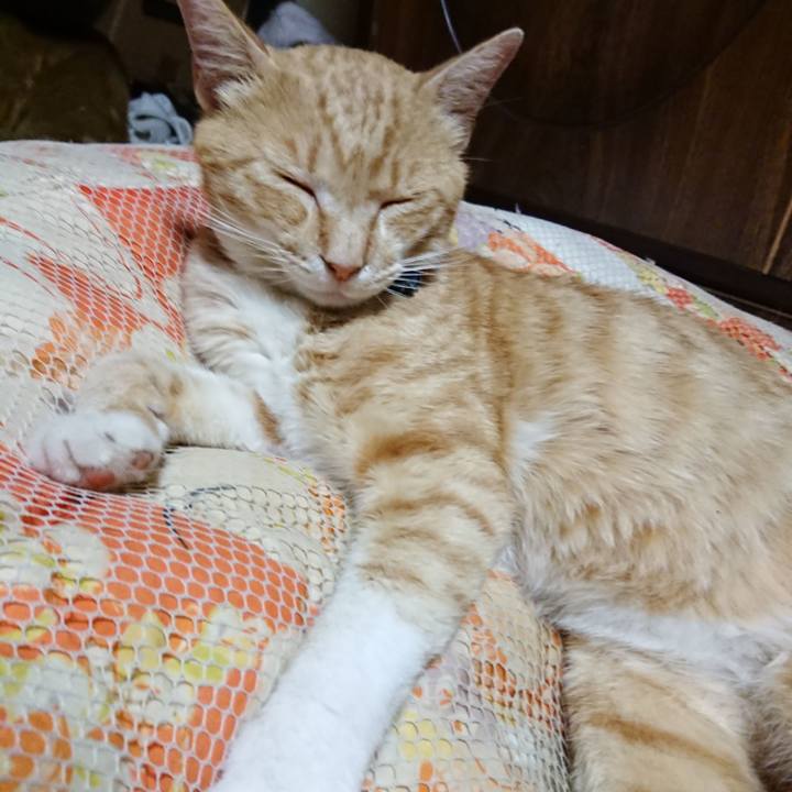 642e5f20 dea1 4e6c ab77 83ff974aafd3 1561466439870