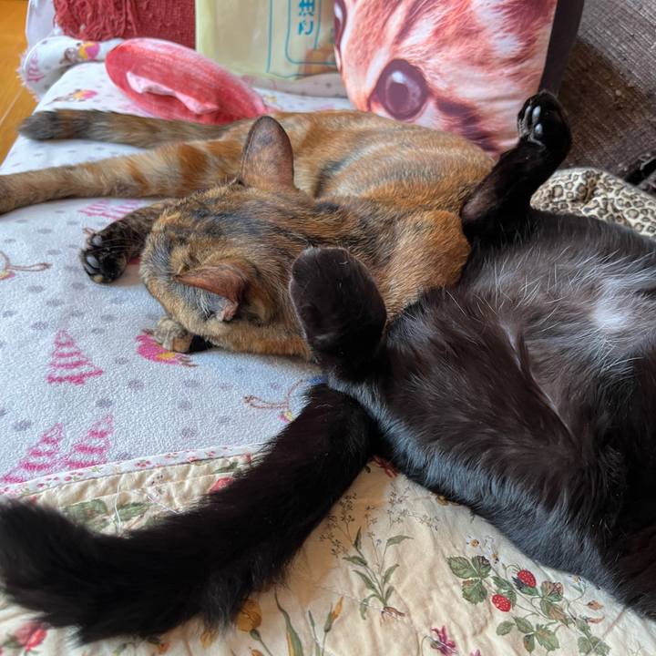 642e7e46 36a0 4d15 80ca 1201ee3fef23 1659136415714