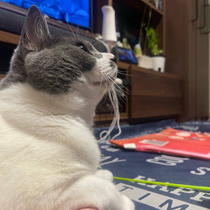 642e9238 83f6 4fce be92 f9207318b086 1729933466892