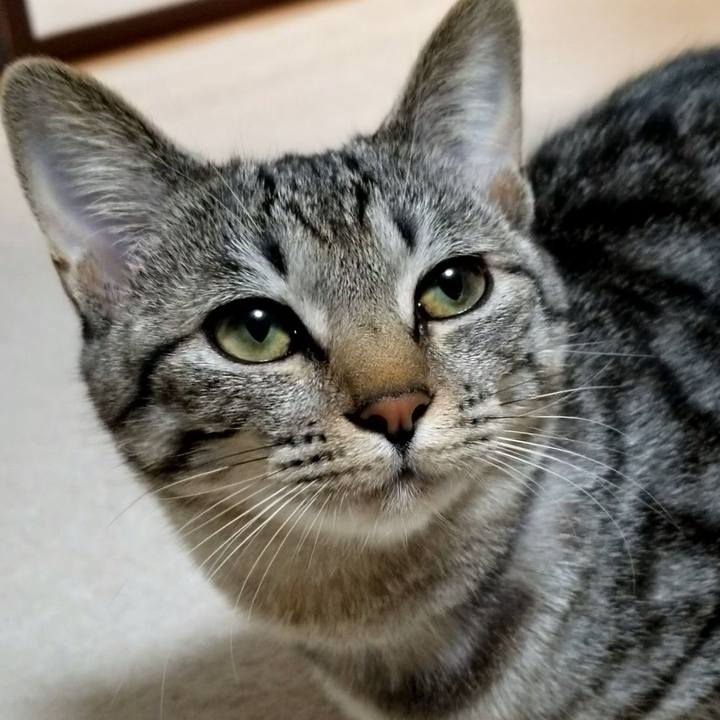 642ec7c1 8378 42d1 aa94 795ca13d9c63 1674569663643