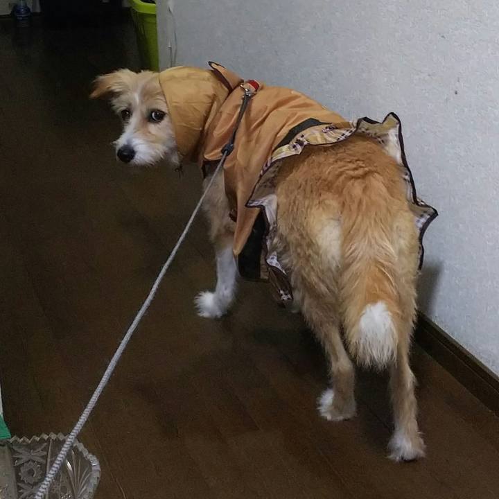 642ec951 d391 4e8e 8499 e7f2e2402617 1530785766530