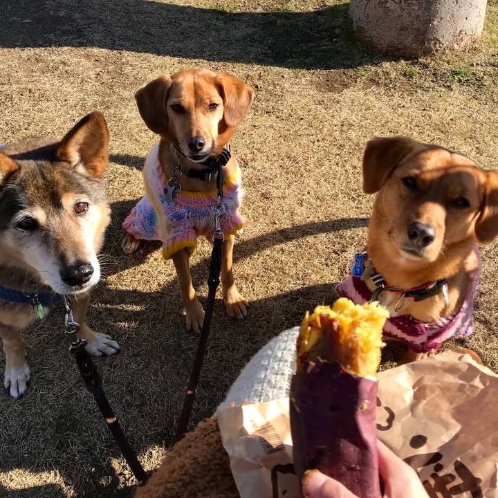 642f9023 548e 4963 8c41 438caeb2215a 1546222565998