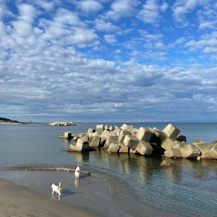 642fcfca 961b 42ce a77d 7ed95fefc4e9 1632701136346