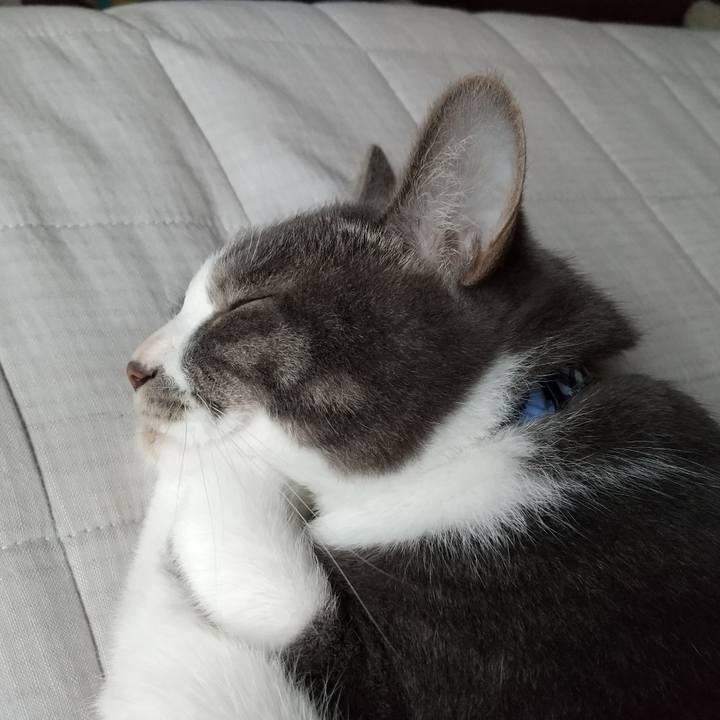 64301d4e 1f4b 411b b590 5a2c73837ec2 1602214389391