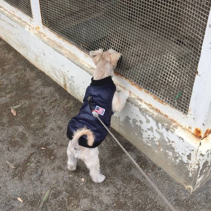 6430339a 8445 46cb 8367 644e2af8d744 1544329562745