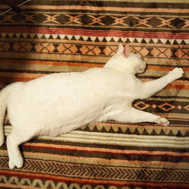 64307398 ebda 4c93 b98a e230afb6b386 1583500456038