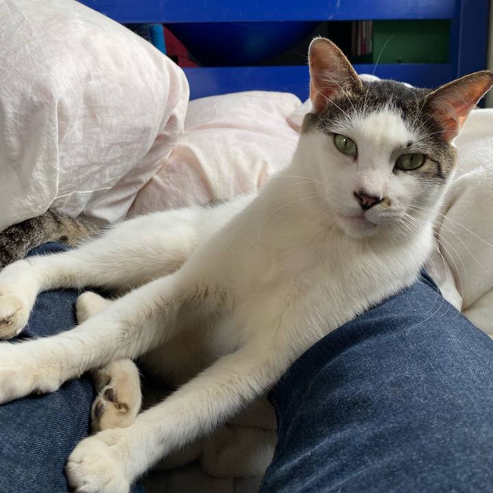 6430ea93 7a8a 4dd9 9f5a ebb3e3890176 1624954466671