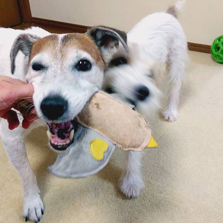 64311e23 de04 4322 9b5b 73ed23e63153 1534418402020