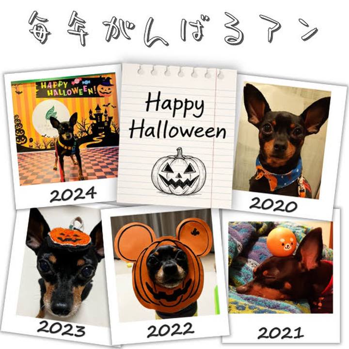 64313b0c e2b3 4d29 8258 d2ff1b17e19c 1761915284521