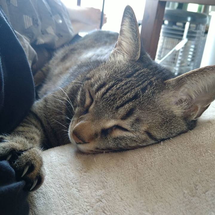 64315c68 f2aa 4991 9538 b9a320e367a2 1711848357343