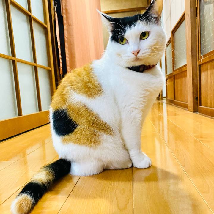 64316050 b7c1 4124 8a11 19bcc405d3b0 1699615187535