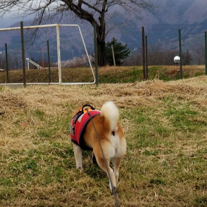 643160c8 f6e1 4119 8ebd 73e65f67b9e3 1607410029214