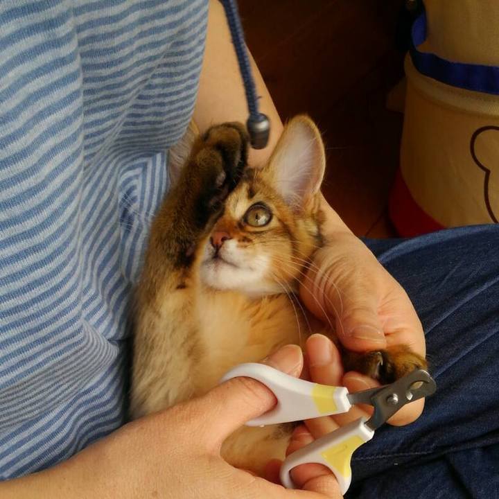 6431649e 936a 4b5b b0ab 1c549a3e3e47 1573077513800