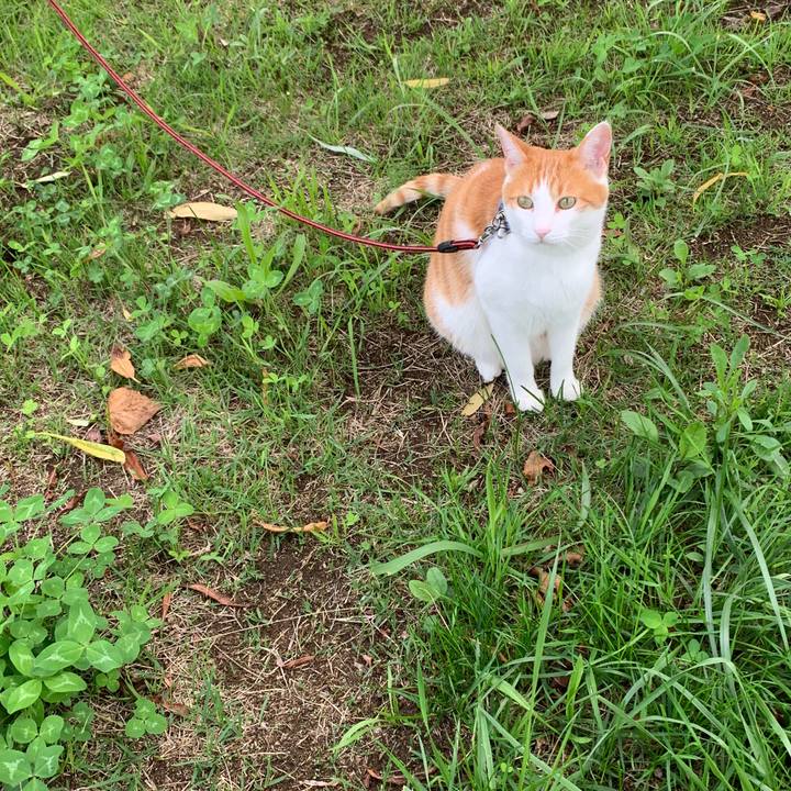 64318ed6 f416 444b abe5 51b599269bab 1593939344803