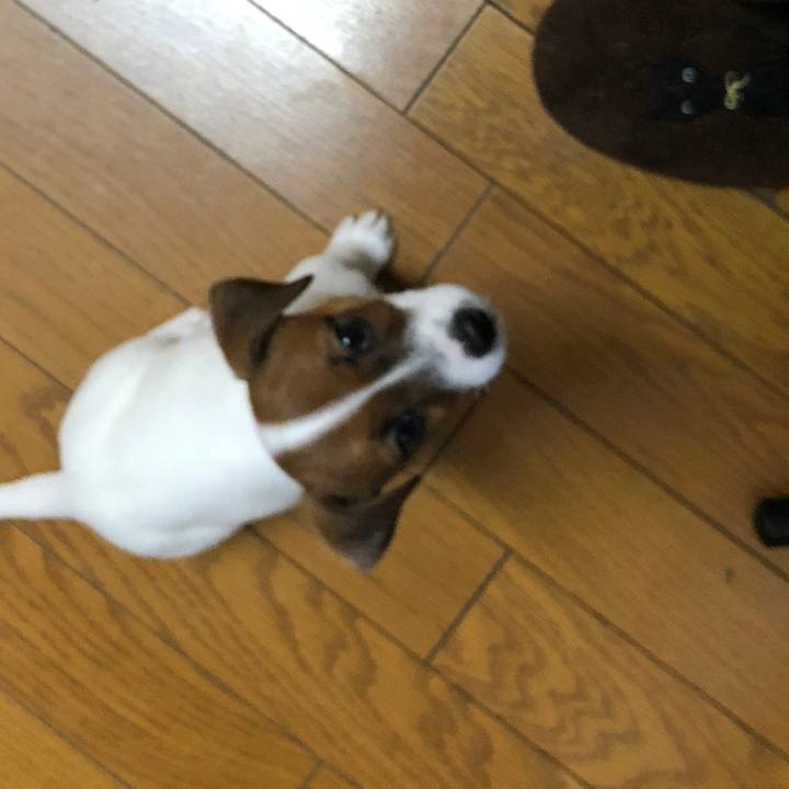 6431a5d7 5c67 4ae8 bddf 2c491baf27db 1510787070270