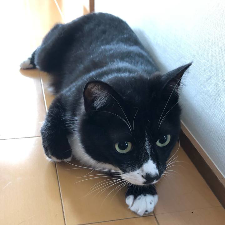 6431aa7a 1cc4 4abc 949a ad9b529087c2 1592109696105