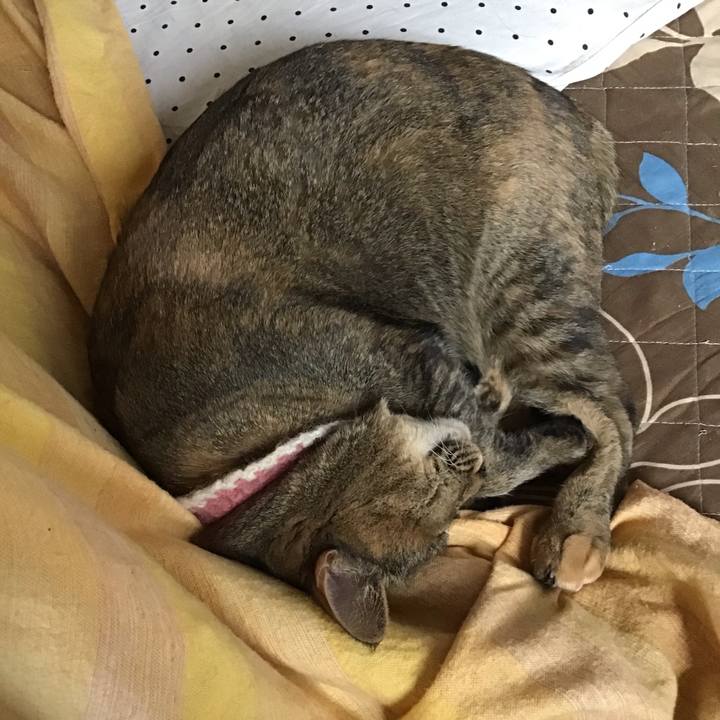 6431ba8d 78e6 4ad8 abe6 4752b5e10d7a 1651988373170