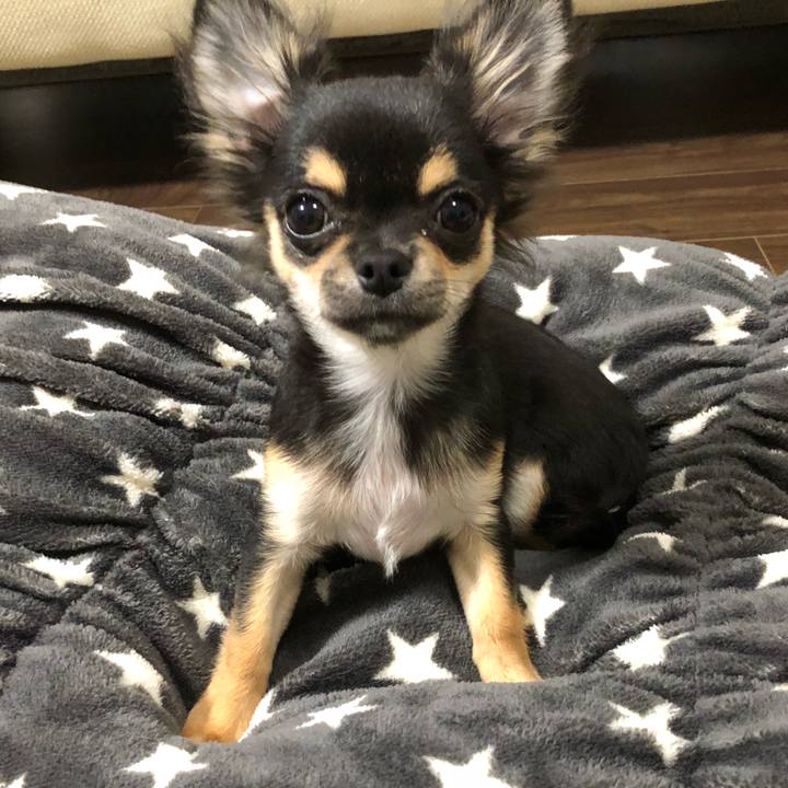 6431bcb8 a507 492f 83b0 c5b5bc0c159d 1540295391714