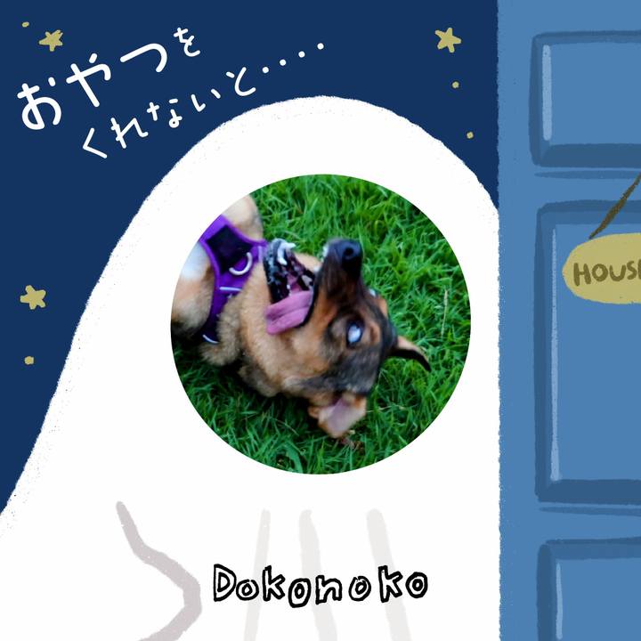 6431cf55 ffea 41be b1fc 291d1d871ded 1729168723982