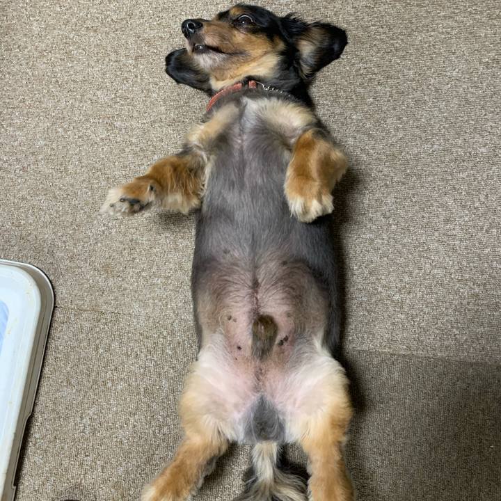 6431d292 31b0 4f6f b5fb dee5f3516e55 1595719884094