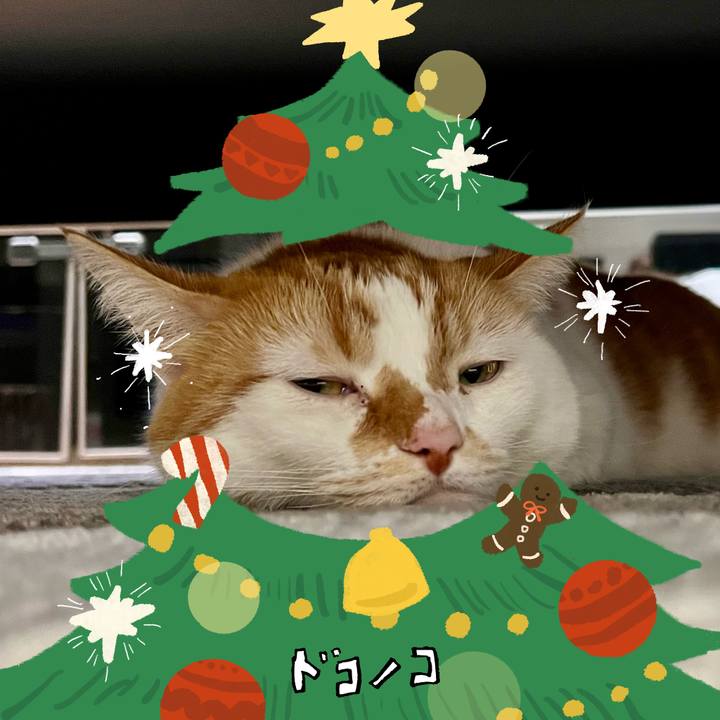 6432167a 4dfd 40ba 98a5 1861c66610f9 1761449342023