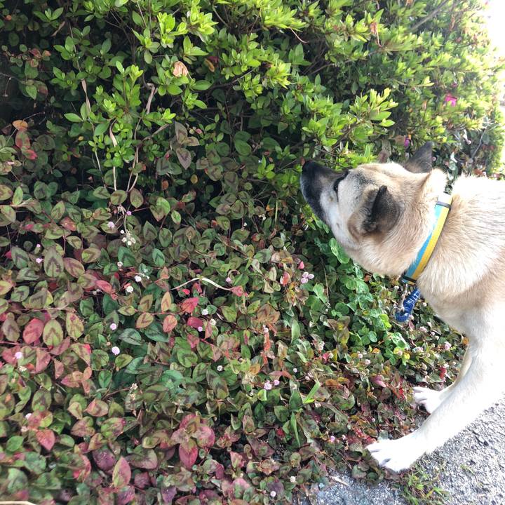 6432189b 8bb2 4a7b 93de e1ecfa6bf554 1561034772333