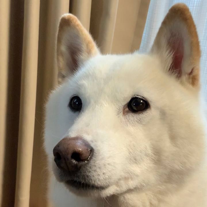 6432370d ed04 4c4f a814 062d45b18141 1642919440291