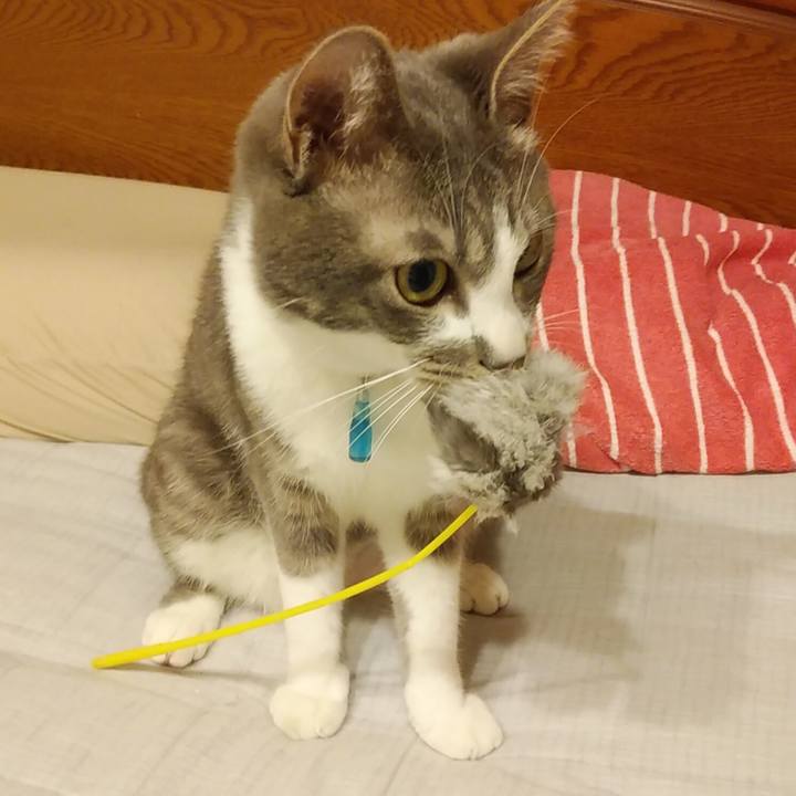 643242bb c2d0 468e 8222 d8a18ba672cc 1589898614997