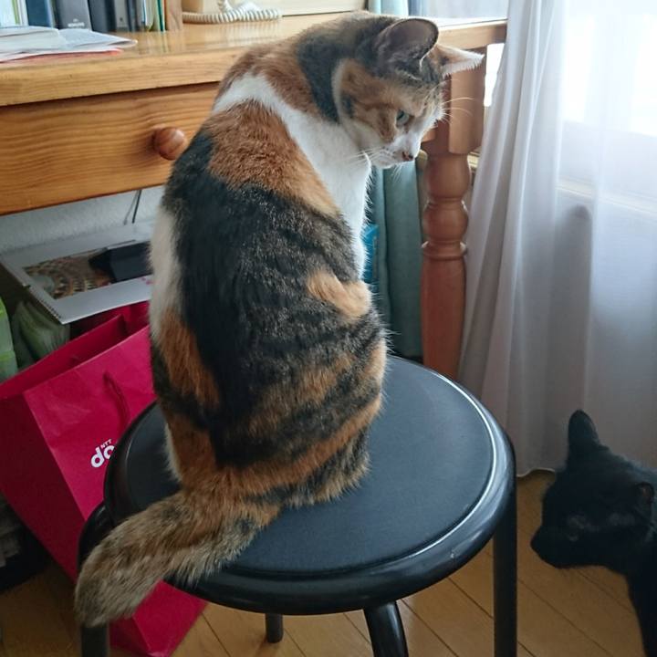 643294e1 bf56 4fa2 8065 0204da5b398d 1546395355881