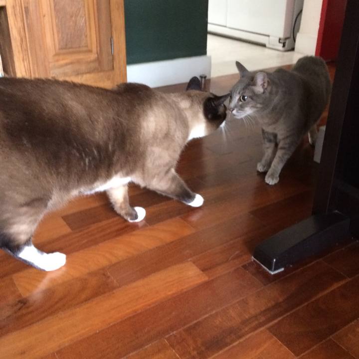 6432dcb0 eb6f 48c3 83a8 0ac34c3db737 1514332296946