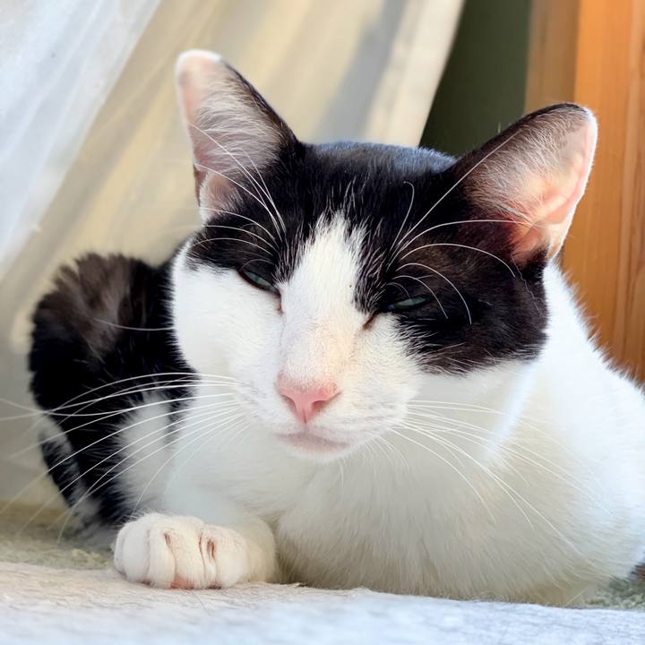 6432e54e 7c24 42d8 b236 02c290ee023b 1539048987121