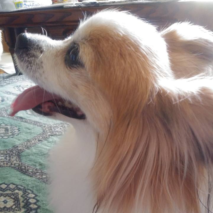 64331597 a925 42a8 9416 64d38c2698d3 1556866915757